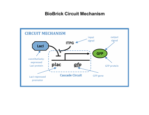 BioBrick Circuit Mechanism