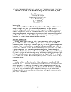 EVALUATION OF FUNGICIDES AND SPRAY PROGRAMS FOR CONTROL
