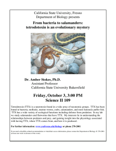 From bacteria to salamanders: tetrodotoxin is an evolutionary mystery