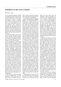 Endophytes to the rescue of plants!  COMMENTARY Bhavdish N. Johri