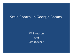 Scale Control in Georgia Pecans Will Hudson  And Jim Dutcher