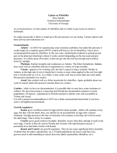 Update on Whiteflies Story Sparks Extension Entomologist University of Georgia