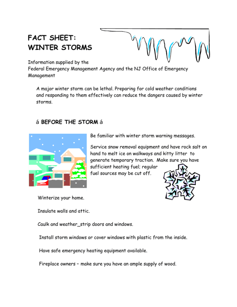 FACT SHEET WINTER STORMS