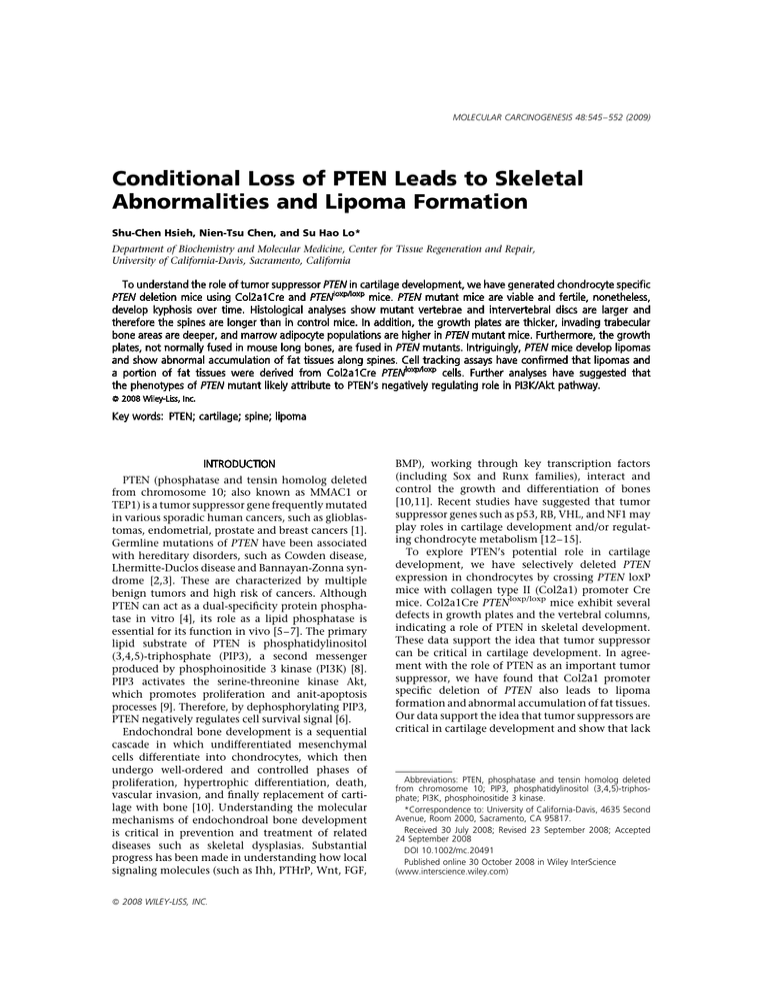 Conditional Loss of PTEN Leads to Skeletal Abnormalities and Lipoma ...