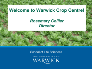 Welcome to Warwick Crop Centre! Rosemary Collier Director School of Life Sciences