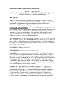 Occupational Health - Zoonotic Disease Fact Sheet #16 CAT SCRATCH DISEASE
