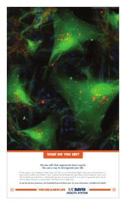 WHAT DO YOU SEE? We see cells that regenerate heart muscle.