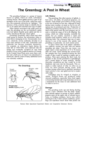 Outdated Publication, for historical use.