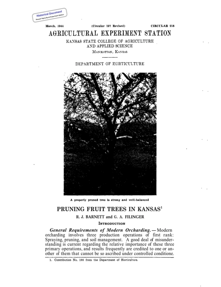 PRUNING FRUIT TREES IN KANSAS