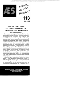 Document13273635 13273635