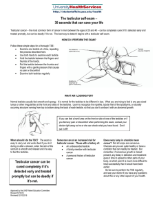 Testicular Self-Exam: A Guide to Early Detection
