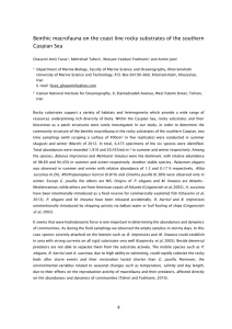 Benthic macrofauna on the coast line rocky substrates of the... Caspian Sea