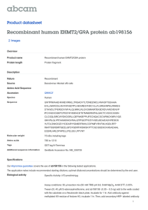 Recombinant human EHMT2/G9A protein ab198156 Product datasheet 2 Images Overview