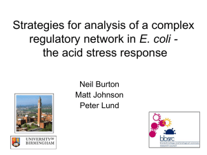 Strategies for analysis of a complex E. coli - Neil Burton