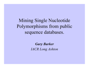 Mining Single Nucleotide Polymorphisms from public sequence databases. Gary Barker
