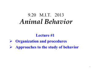 Animal Behavior  Lecture #1 Organization and procedures