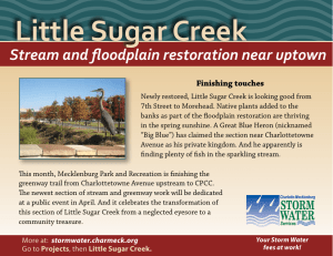 Little Sugar Creek Stream and floodplain restoration near uptown Finishing touches