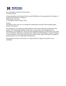 The carbohydrate associated with myrosinase by Frances Huotari
