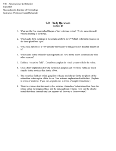 9.01 - Neuroscience &amp; Behavior Fall 2003 Massachusetts Institute of Technology