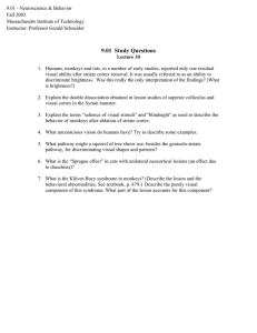 9.01 - Neuroscience &amp; Behavior Fall 2003 Massachusetts Institute of Technology