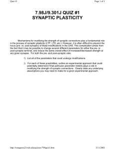 7.98J/9.301J QUIZ #1 SYNAPTIC PLASTICITY