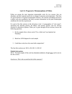 Lab 12: Progressive Metamorphism of Pelites