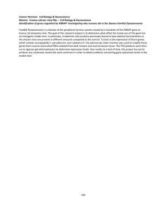 Connor Murnion:  Cell Biology &amp; Neuroscience