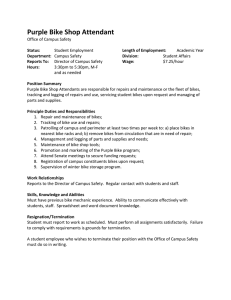 Purple Bike Shop Attendant 