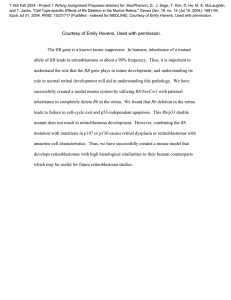 Document13526053 13526053