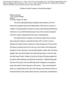 Document13526054 13526054