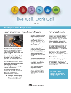 June is National Home Safety Month Fireworks Safety  June 2013