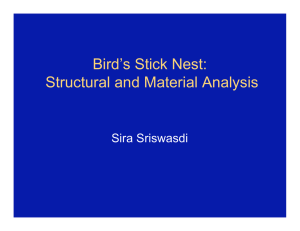 Bird’s Stick Nest: Structural and Material Analysis Sira Sriswasdi