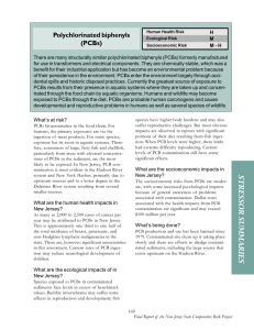 Polychlorinated biphenyls (PCBs)