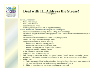 Deal with It…Address the Stress!