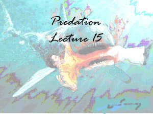 Predation Lecture 15
