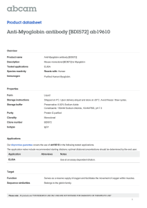Anti-Myoglobin antibody [BDI572] ab19610 Product datasheet Overview Product name