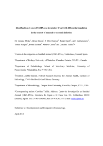Identification of a novel CCR7 gene in rainbow trout with... in the context of mucosal or systemic infection