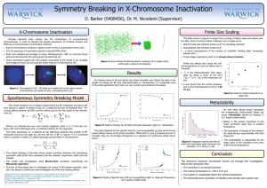 X-Chromosome Inactivation Finite Size Scaling