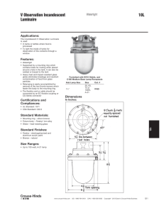 V Observation Incandescent 10L Luminaire Watertight