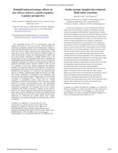 Rainfall induced isotope effects in Oryza A palaeo perspective