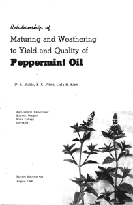 au a? Peppermint Oil to Yield and Quality of Maturing and Weathering