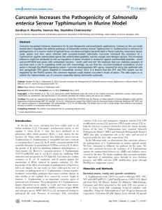 Salmonella enterica Curcumin Increases the Pathogenicity of Serovar Typhimurium in Murine Model