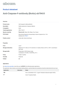 Anti-Caspase-9 antibody (Biotin) ab78410 Product datasheet Overview Product name