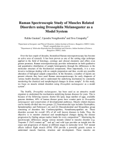 Raman Spectroscopic Study of Muscles Related Model System Rekha Gautam