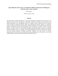 Appreciating the value of age: An evaluation of efficiency gains... selectivity under various scenarios