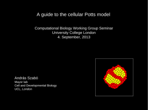 A guide to the cellular Potts model University College London