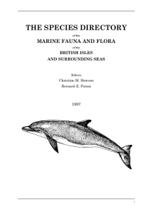 THE SPECIES DIRECTORY MARINE FAUNA AND FLORA BRITISH ISLES AND SURROUNDING SEAS