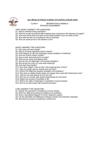 Respiration in Animals: Class 7 Revision Assignment