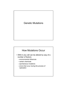 Genetic Mutations How Mutations Occur number of factors: