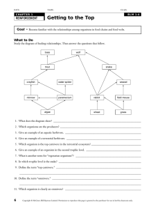 Food Chains & Webs Worksheet: Trophic Levels & Ecosystems